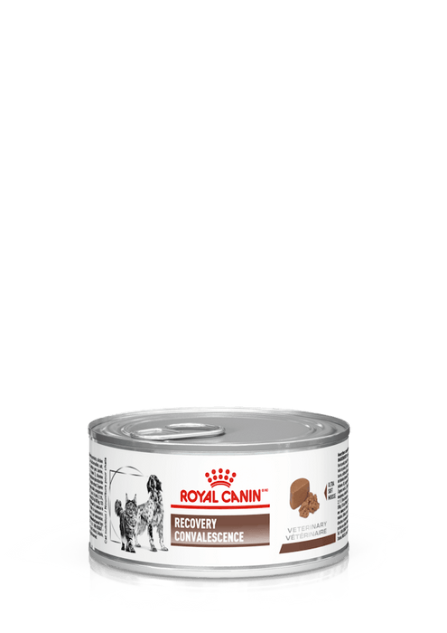 ROYAL CANIN-RECOVERY LATA 150GR