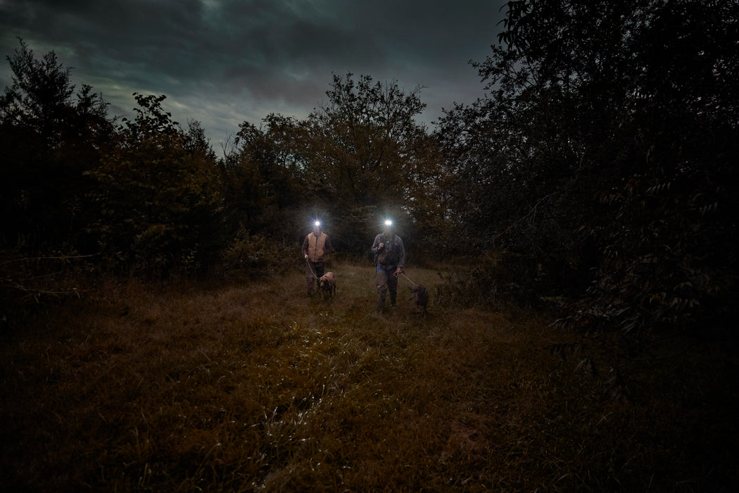 Garmin Alpha 10, Dispositivo GPS Rastreador, Seguimiento y Entrenamiento de Perros