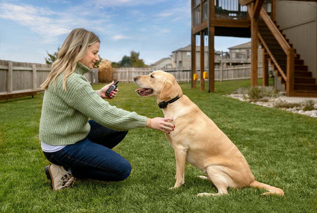 Garmin Delta SE Pack (dispositivo de mano y dispositivo para perros)