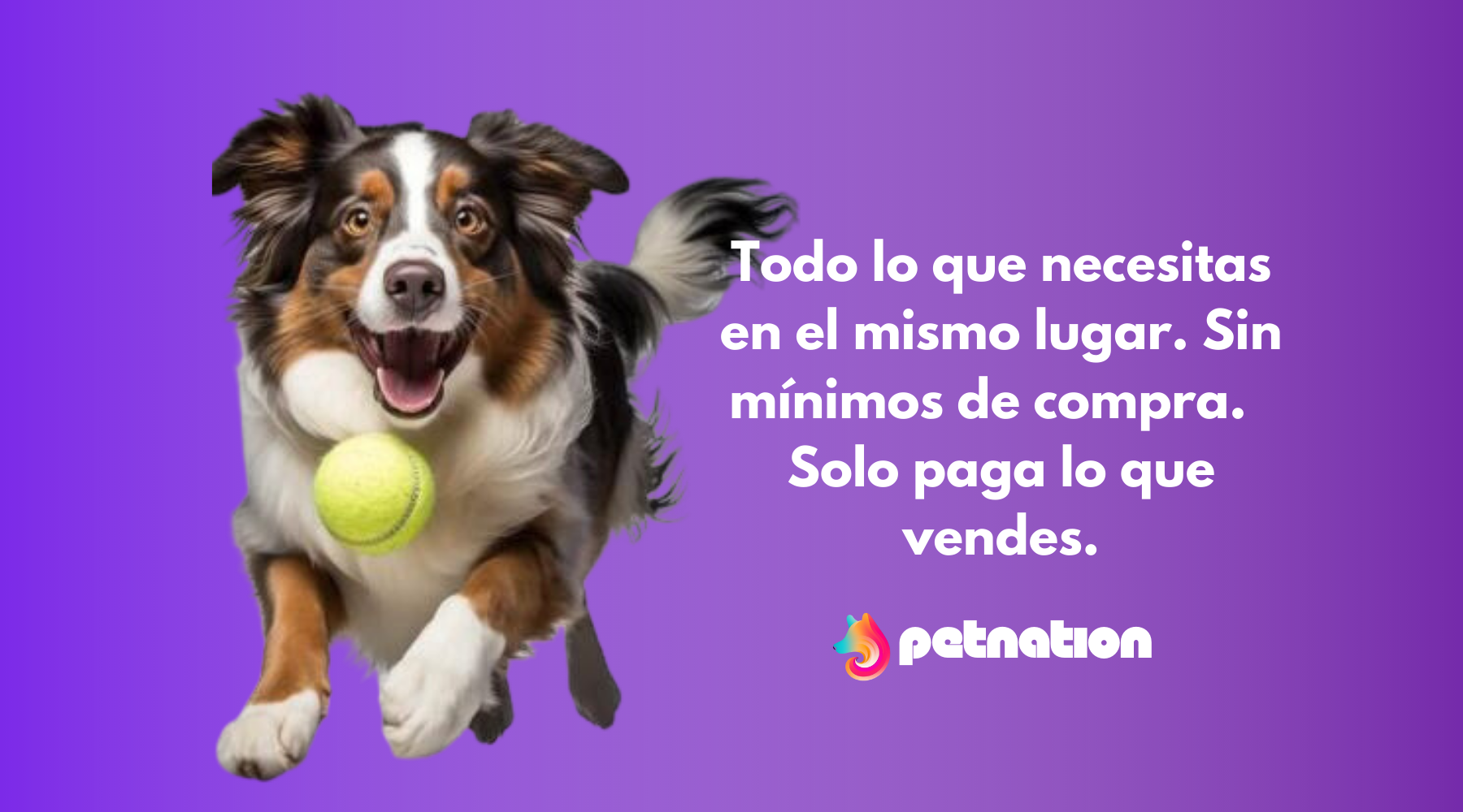 Petnation Distribuidor Mayorista Alimento y productos para mascotas