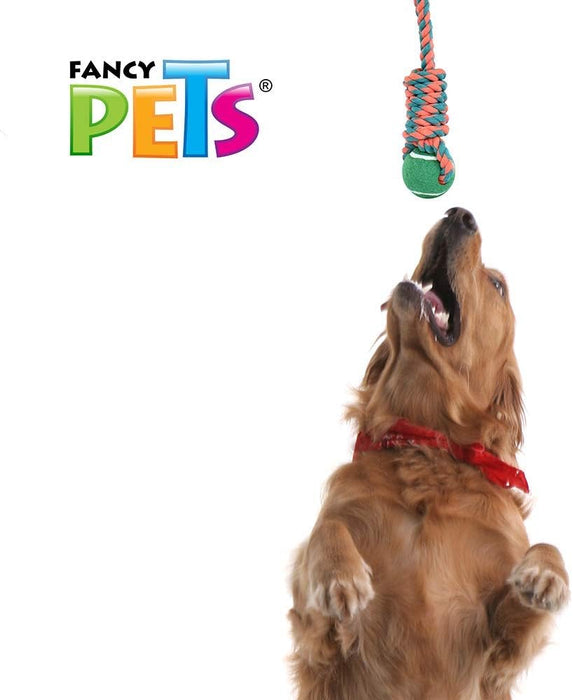 Fancy Pets Juguete de Soga con Pelota para Perro