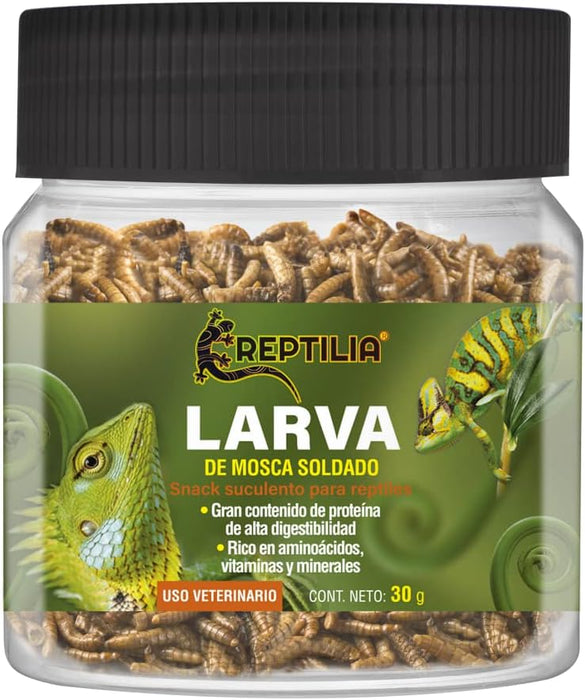 Reptilia Snack Larva de Mosca Soldado con Gran Contenido de Proteína para Reptiles 30 gr