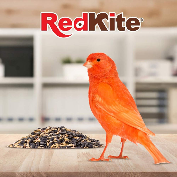 RedKite, Mezcla de Semillas p/Canarios y Finches 500 gramos