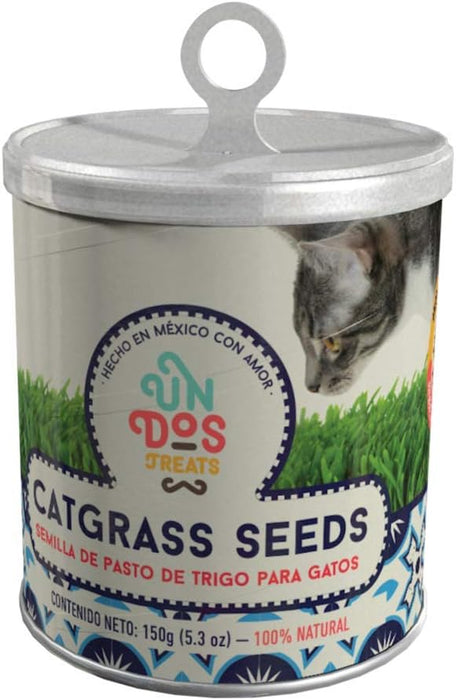 Cat Grass Seeds Pasto De Trigo Para Gatos, 150 Gr