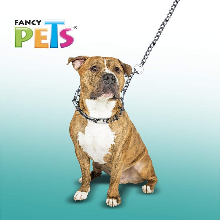 Fancy Pets Collar de Entrenamiento con Púas para Perro
