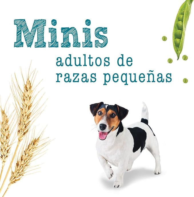 BENEFUL MINIS Raza Pequena N1 MX 2 kg