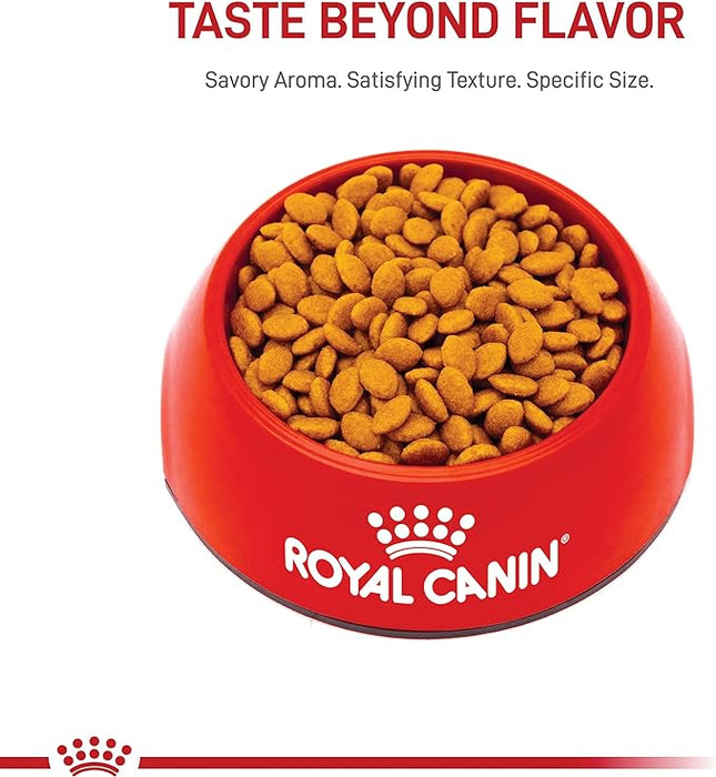 ROYAL CANIN-PERSIAN 3.1 KGS