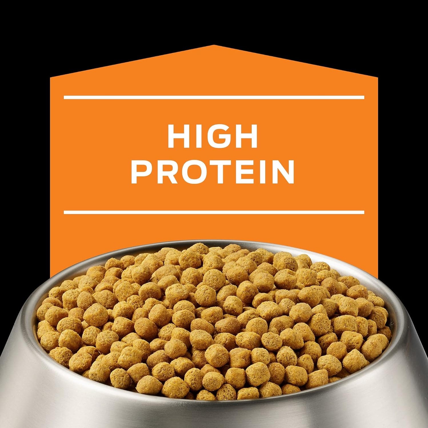 PROPLAN- PPVD OM Canine 31 LB US 14.5 kg — Petnation