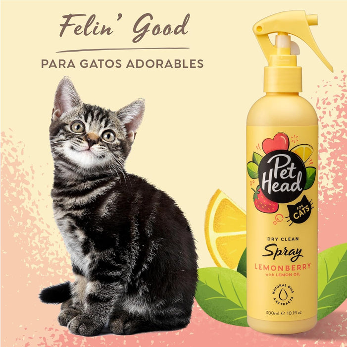 Pet Head Espuma sin Enjuague Felin' Good LemonBerry con Aceite de Limón Para Gato