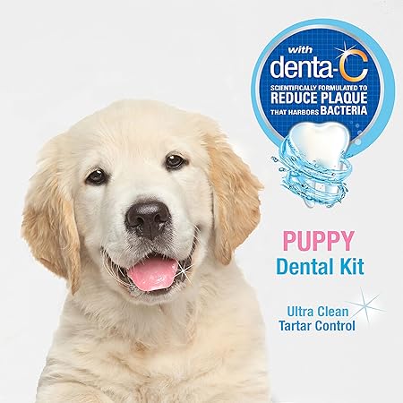 Nylabone Advanced Oral Care Kit Dental para Cachorro con Dedal