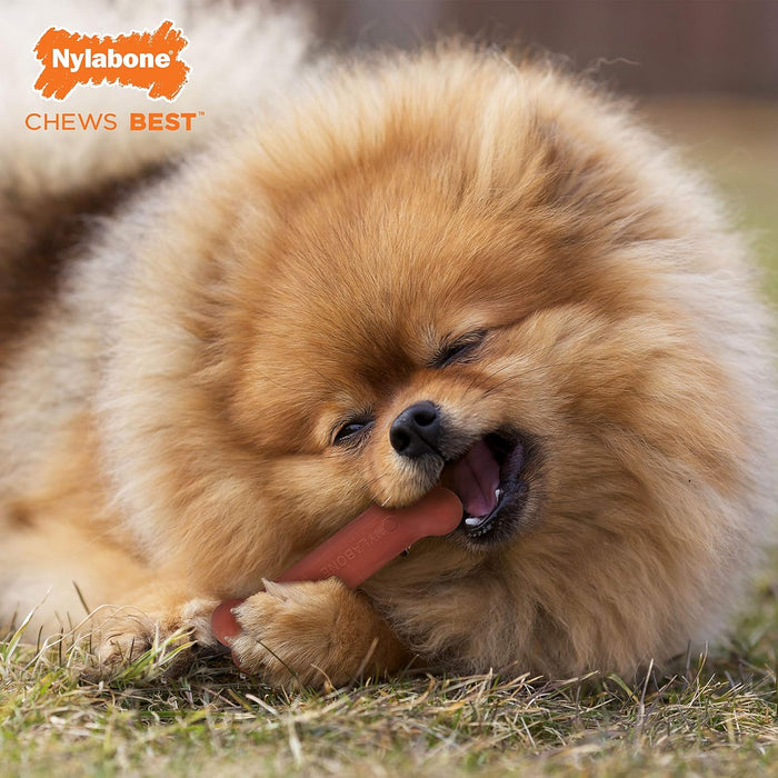 Nylabone Juguete masticable para perros con sabor tocino