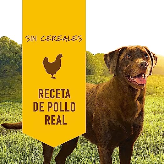 Instinct Original Lata Receta de Pollo para Perros (lata de 374g)