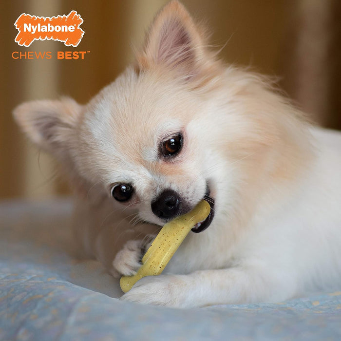 Nylabone Flexi Chew juguete masticable para perros con sabor original y pollo, 2 piezas