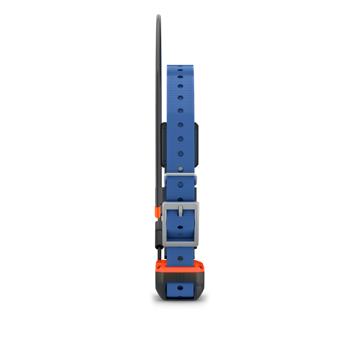 Garmin Alpha T20, Collar para Perros Rastreador GPS Localizador