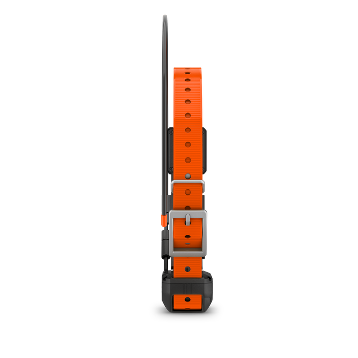 Garmin Alpha TT25, Collar para Perros Rastreador GPS Localizador