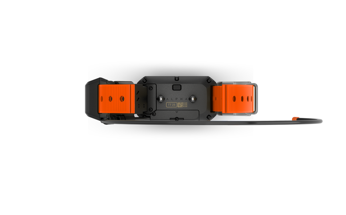 Garmin Alpha TT25, Collar para Perros Rastreador GPS Localizador