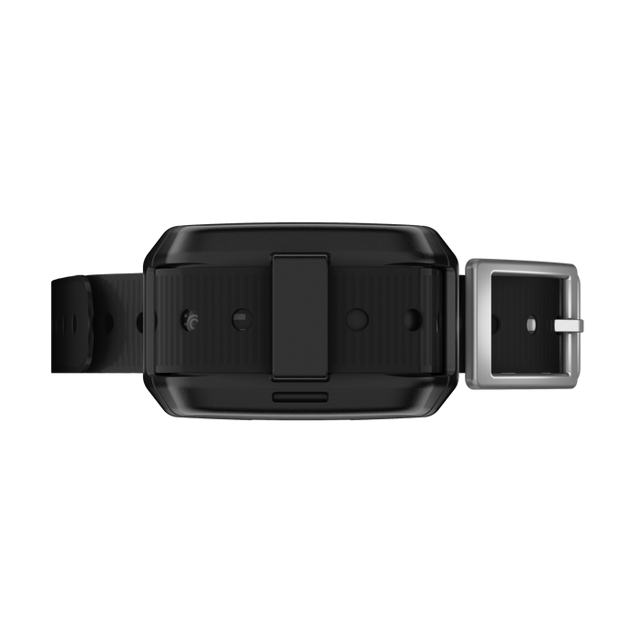 Garmin Delta SE Pack (dispositivo de mano y dispositivo para perros)