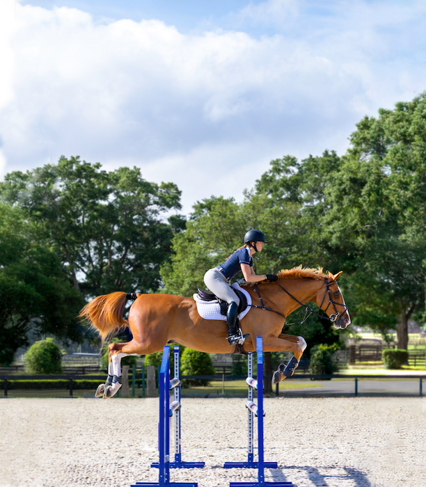 Garmin Blaze Sistema de Bienestar Equino, Monitor para Caballos