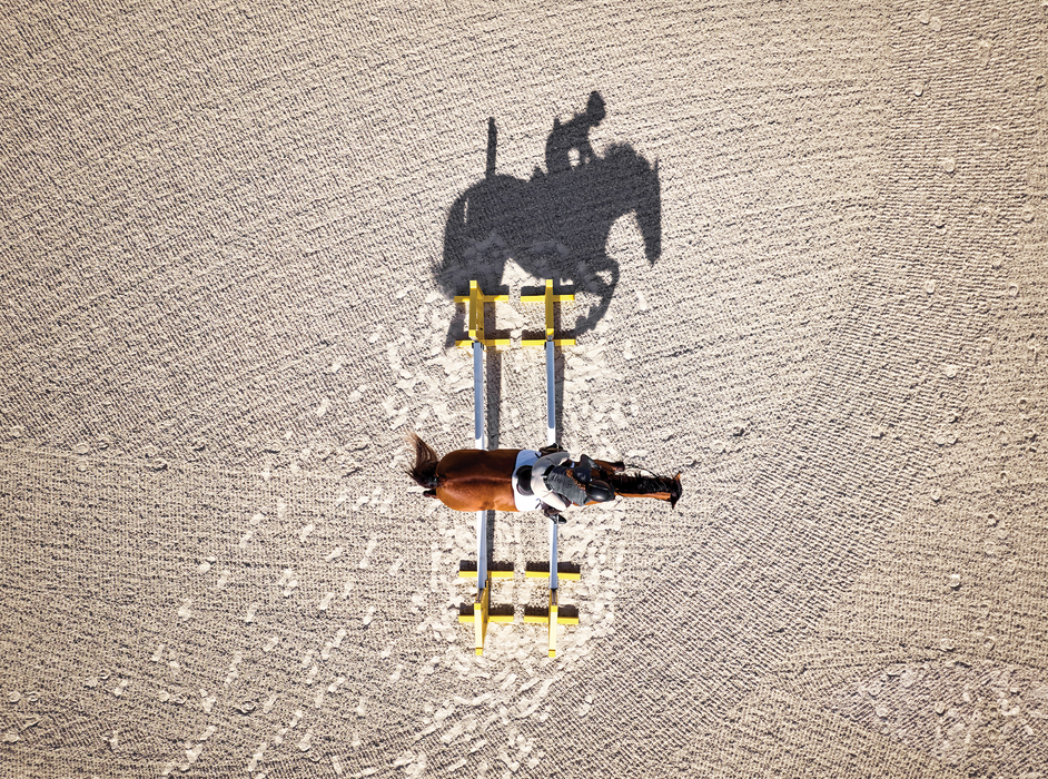 Garmin Blaze Sistema de Bienestar Equino, Monitor para Caballos