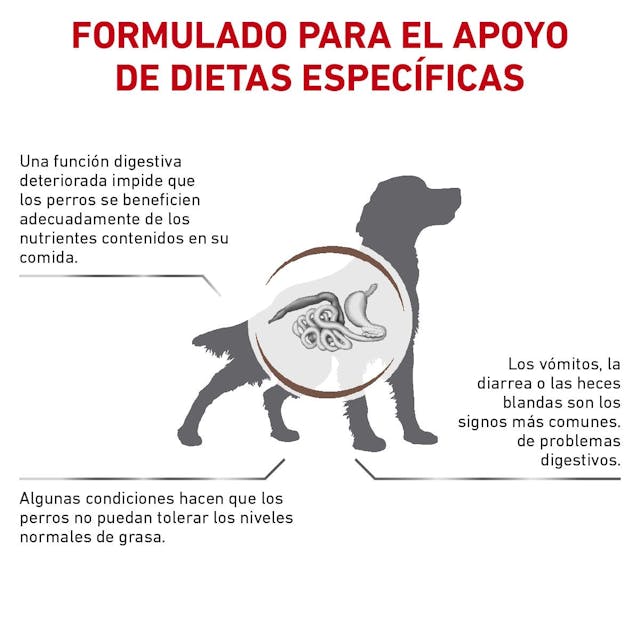 ROYAL CANIN-GASTRO-INT LOW FAT 13KG