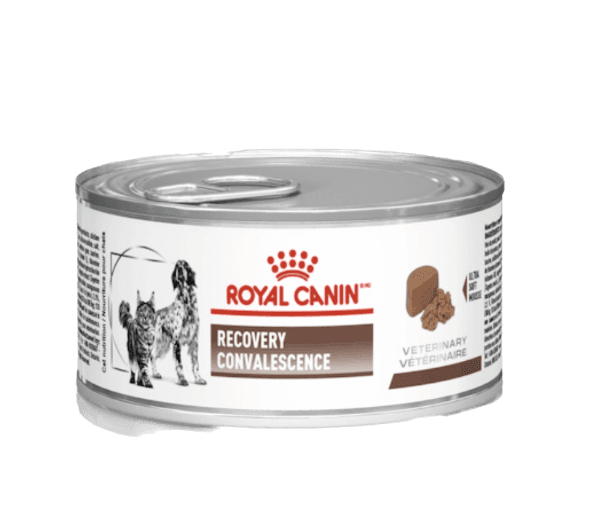 ROYAL CANIN-RECOVERY LATA 150GR